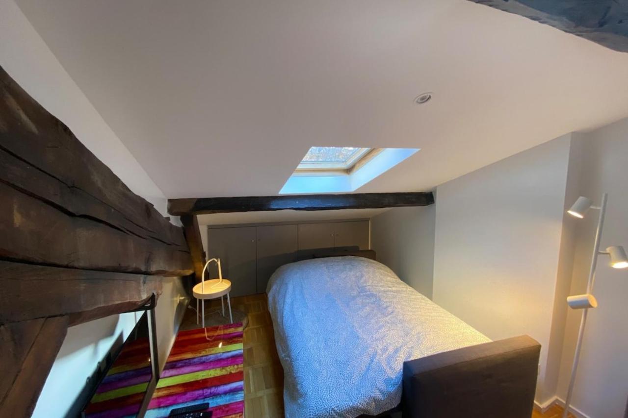 Le Petit Arloing-Studio Quais De Saone Vaise Lyon Extérieur photo